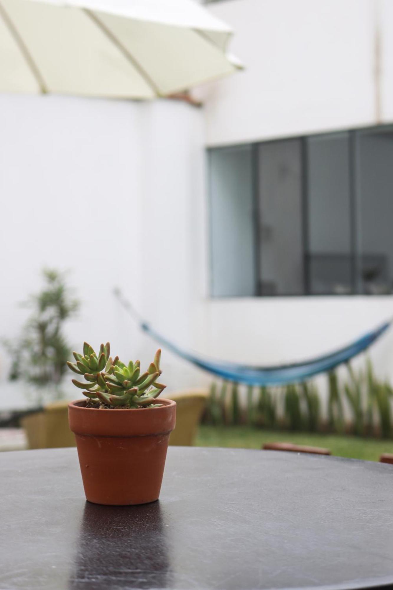 לימה Hermosa Habitacion Independiente Cerca A Miraflores מראה חיצוני תמונה